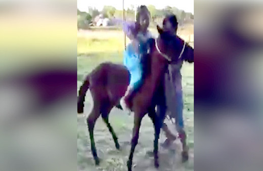 At, küçük kızı kaçırdı