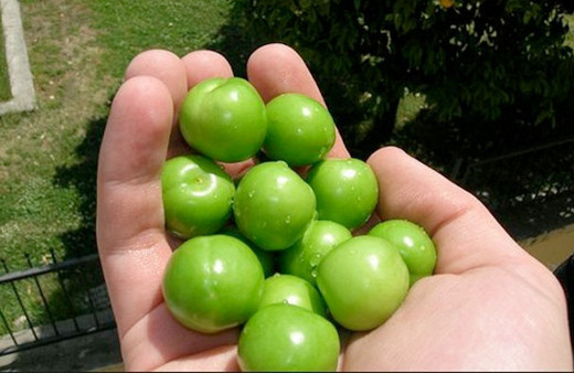 Kilosu 300 liraya satılıyordu bakın ne kadar oldu