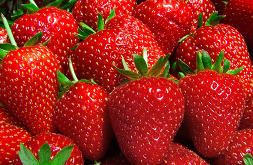 Çilek bir ilçenin kaderini değiştirdi