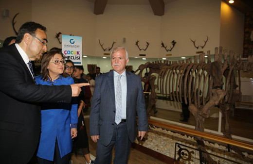 Türkiye'nin ilk ve tek zooloji müzesi Gaziantep'te açıldı