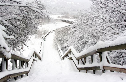 İnanılır gibi değil! Bu kare bugün çekildi