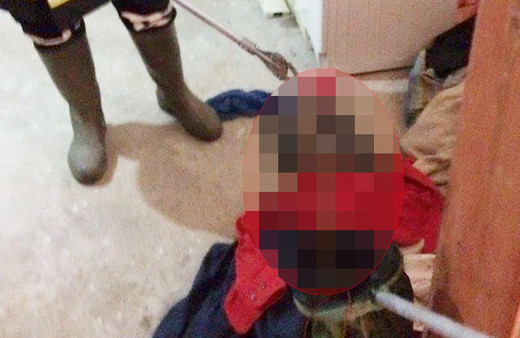 Çamaşır sepetinden çıkana bakın şoke oldular!