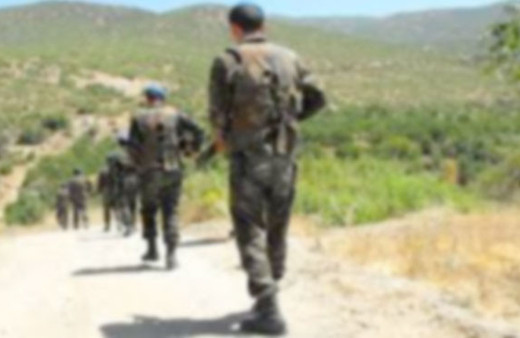 Uludere'de hareketli saatler PKK'ya büyük darbe