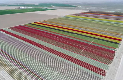 Topraktaki gökkuşağı görenleri büyülüyor!