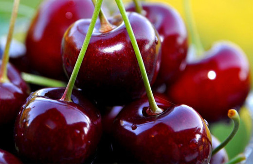  Yerli kirazın kilosu bakın ne kadardan satışa sunuldu