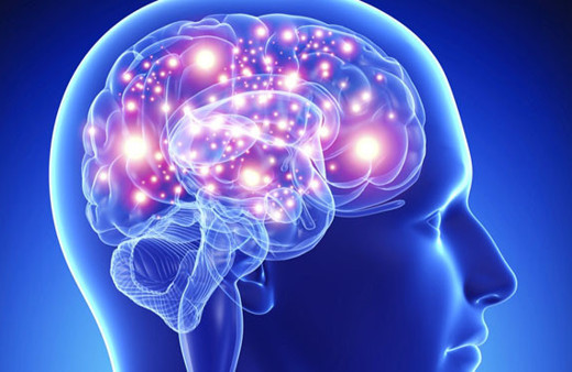 İnsan Beyni Geliştirme Projesi Start Aldı
