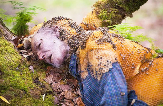 Bu görüntü sosyal medyayı salladı! Arılar kovanını...