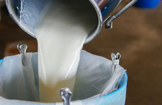 Çiğ süt satışında yeni dönem 24 saat içinde...