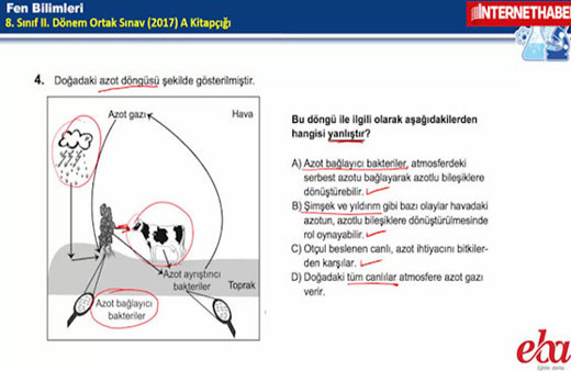TEOG 2. dönem Fen Bilimleri soruları 2017 çözüm videoları