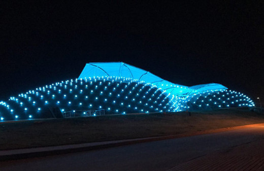 Mavi ışıklar  otizme farkındalık için yandı