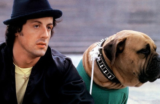 Rocky filmindeki bu ayrıntıyı kimse bilmiyor