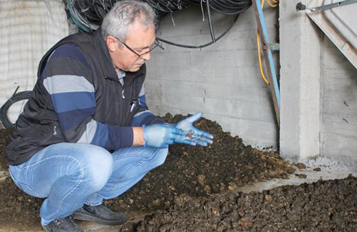 60 bin solucanla organik gübre üretiyor