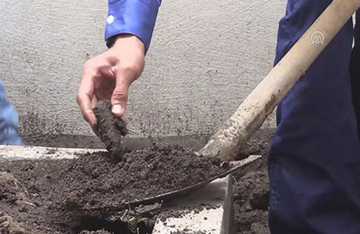 Apartmanın bahçesinde kemik parçaları bulundu