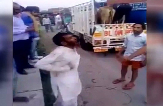 İnek taşıyan Müslüman şoförü döverek öldürdüler