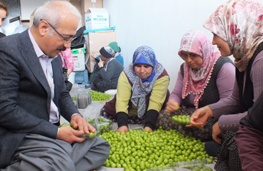 Bakan Elvan şalvar giyip erik paketledi