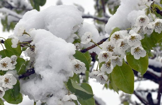 Burası İstanbul'a 2 saat uzaklıkta! 