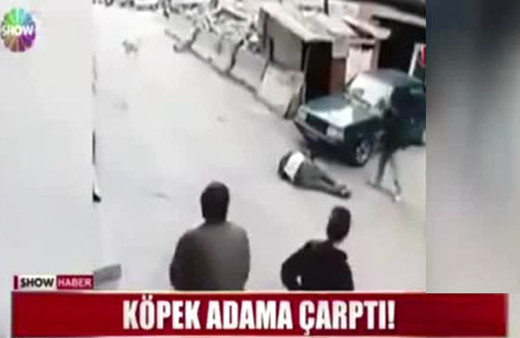 Köpeğin çarptığı adam hastanelik oldu