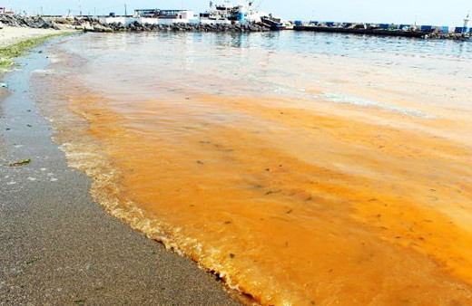 Marmara mavi değil turuncu! Korkutan görüntüye bakın