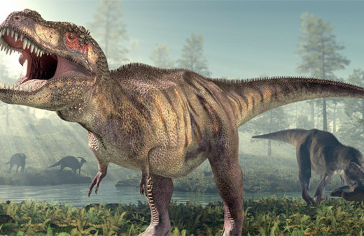 Fas'ta "son Afrika dinozoru"nun fosili bulundu