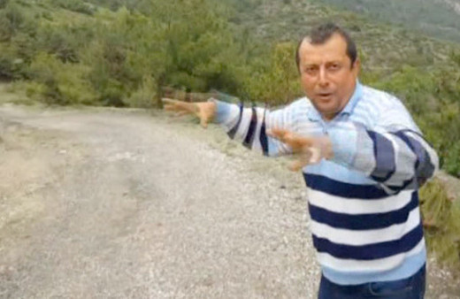 Sakarya'da ormanda karşısına ayı çıkınca