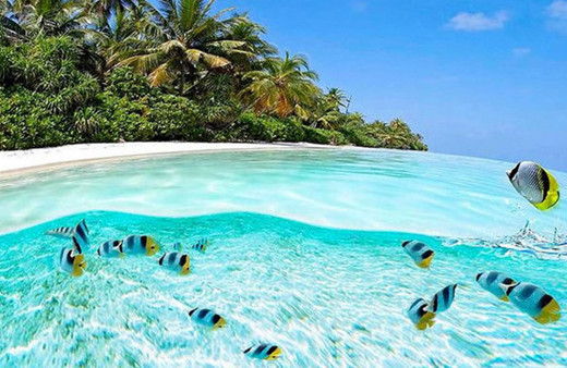 Dünyanın en temiz suları