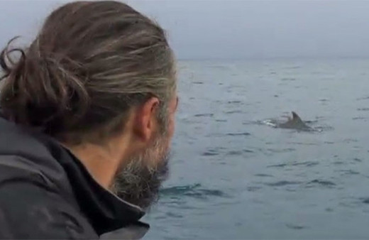 Survivor yarışmacılarına yunuslardan büyük sürpriz!