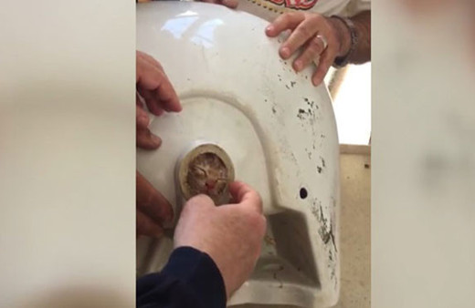 Akıl almaz olay!Kedinin kafası lavaboya sıkıştı