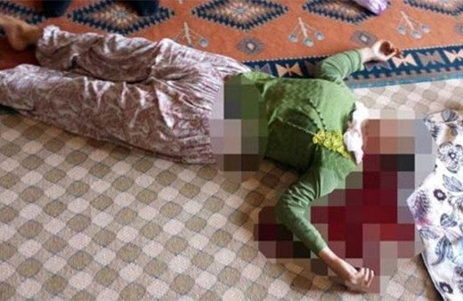 Anneler Günü'nde üvey annesini öldürdü!