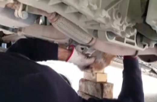 İtfaiyeden kedi kurtarma operasyonu