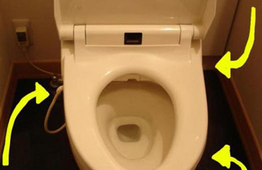 Sadece Japonya'da görebileceğiniz ilginçlikler