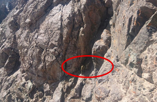 Asker Yüksekova'da 3 bin metrede buldu fotoğrafları paylaştı