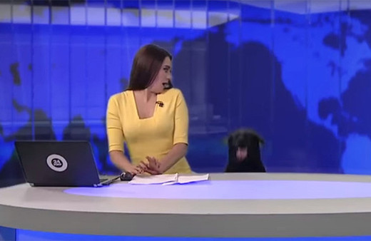 Rus spikerin canlı yayında yaşadığı köpek paniği!