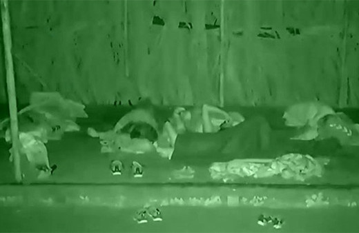 Survivor'da Adem ve Sabriye'nin güldüren yemek atışması!