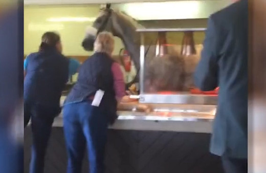 Hızını alamayan at lokantaya girdi