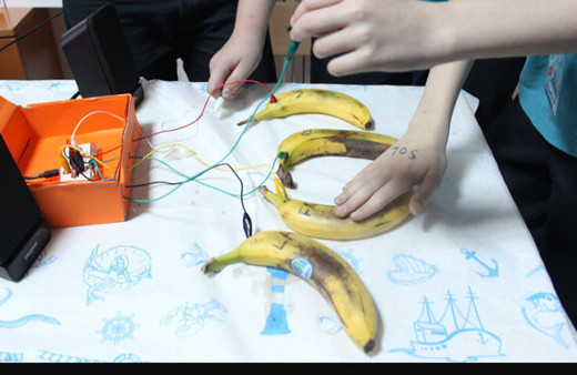 'Meyvelerin Sesi' projesi ilgi gördü