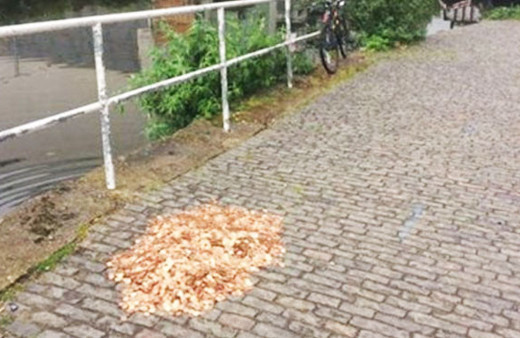 Yolda bir çuval dolusu para görseniz ne yapardınız? 