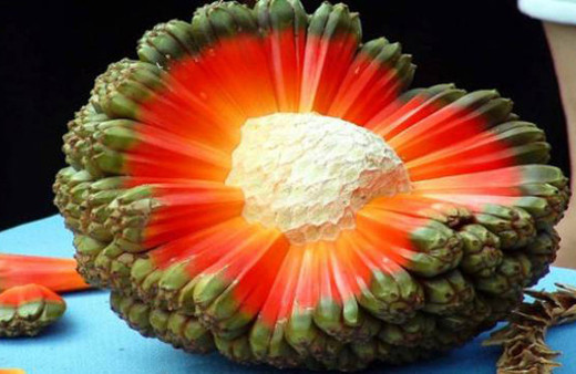 Bu meyveleri ilk defa göreceksiniz