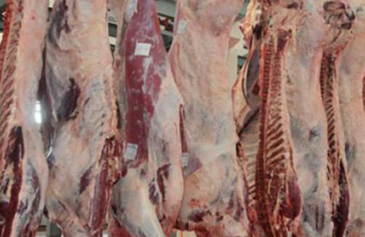 1 ton bozuk tavuk eti ele geçirildi