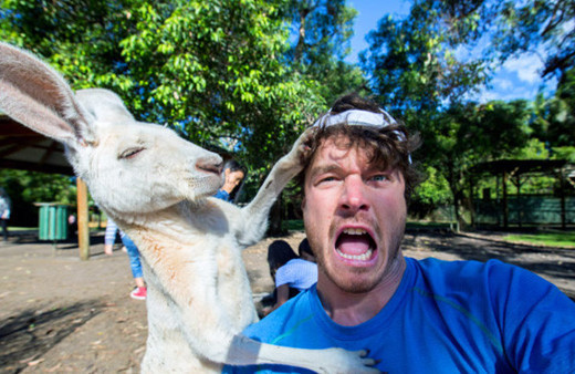 Sosyal medya bunu konuşuyor! Kanguru tarafından trollenen adam