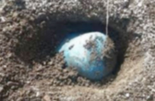 Tunceli'de facianın eşiğinden dönüldü tam 500 kilo