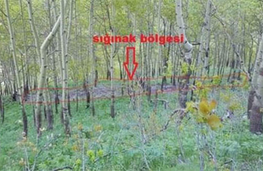 Komandolar önce işaretledi, sonra tek tek imha etti!