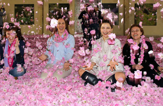 Ölmeden önce yapılması gereken 100 şey arasında