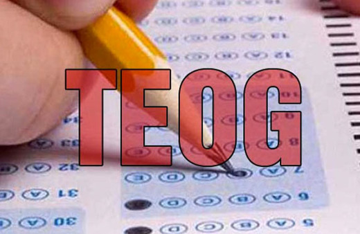 TEOG sonuçları bugün saat kaçta açıklanacak 2017?