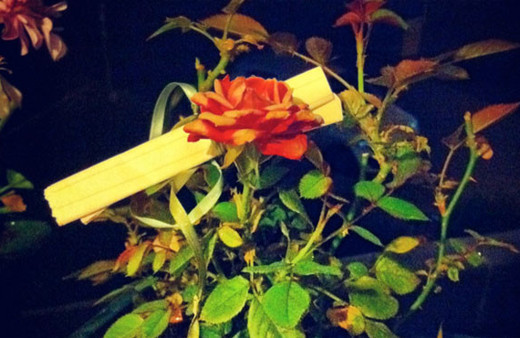 Hıdırellezde neler yapılır duası nasıl gül ağacına dilekleri...