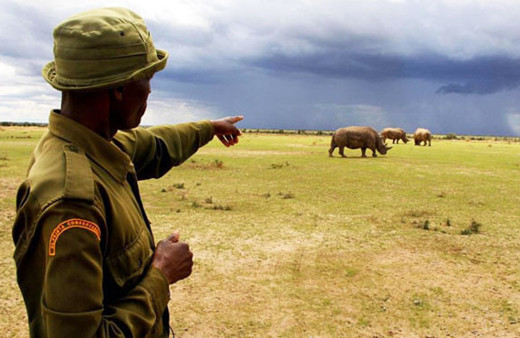 Onlardan dünyada sadece 3 tane var!