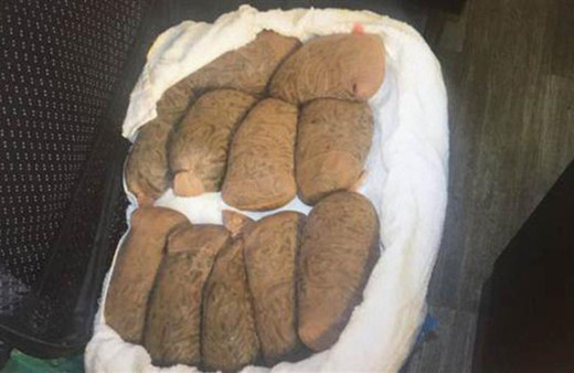 Havalimanı'nda kadın çorabından çıkanlar görenleri şok etti!