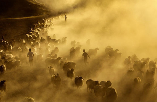 Vahşi Batı değil Türkiye film seti gibi anlar!