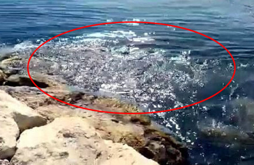 Ege'yi sarsan deprem sonrası korkutan görüntü!