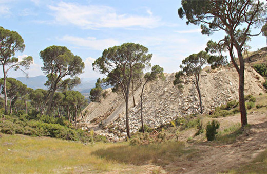 Aydın'da tarih öncesinden kalma kaya resimleri bulundu