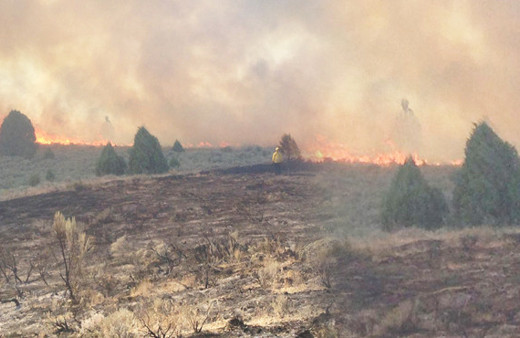 Yangından kaçıyorlardı alevlerin içinde bir anda siluet belirdi